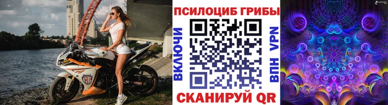 Галлюциногенные грибы Psilocybe  kraken как войти  Николаевск 
